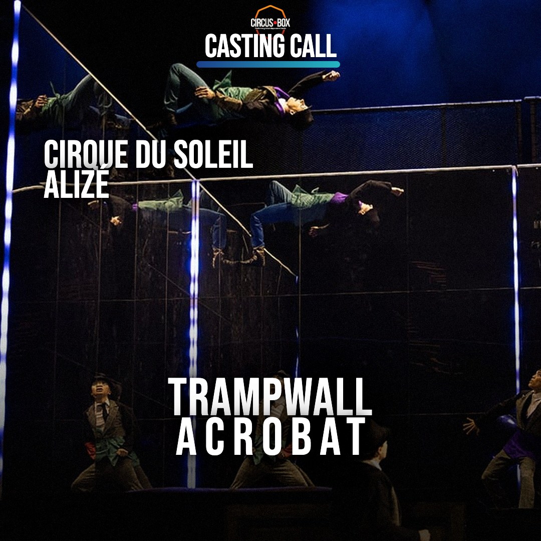 Circus Box casting call cover: Cirque du Soleil ALIZÉ, trampwall acrobat, over two ALIZÉ acrobats flying along a trampwall.