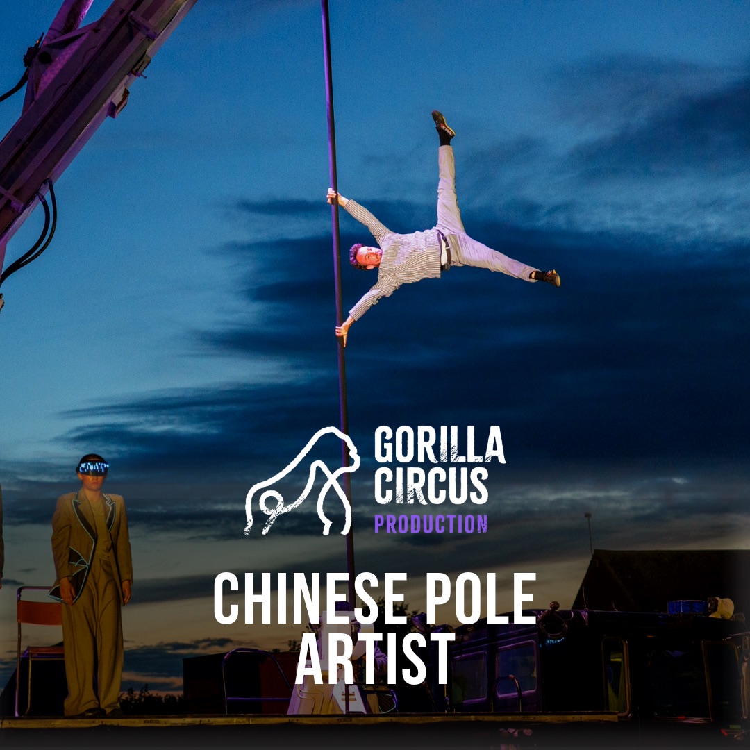 Chinese pole performance in Gorilla Circus's A.I.Thentic