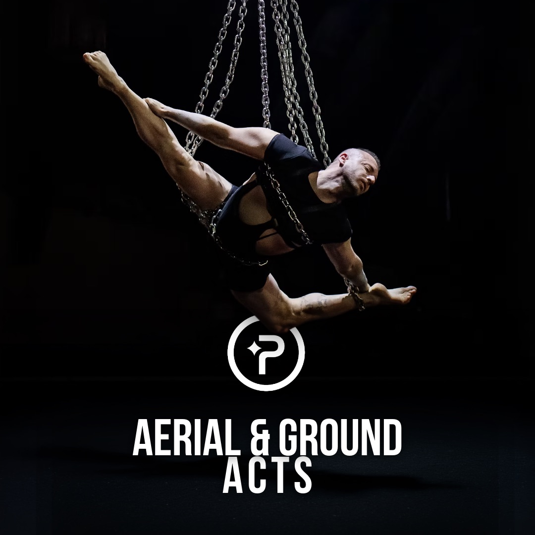 An aerialist suspended in chains against a dark stage, on a ProDG card reading Aerial and Ground Acts