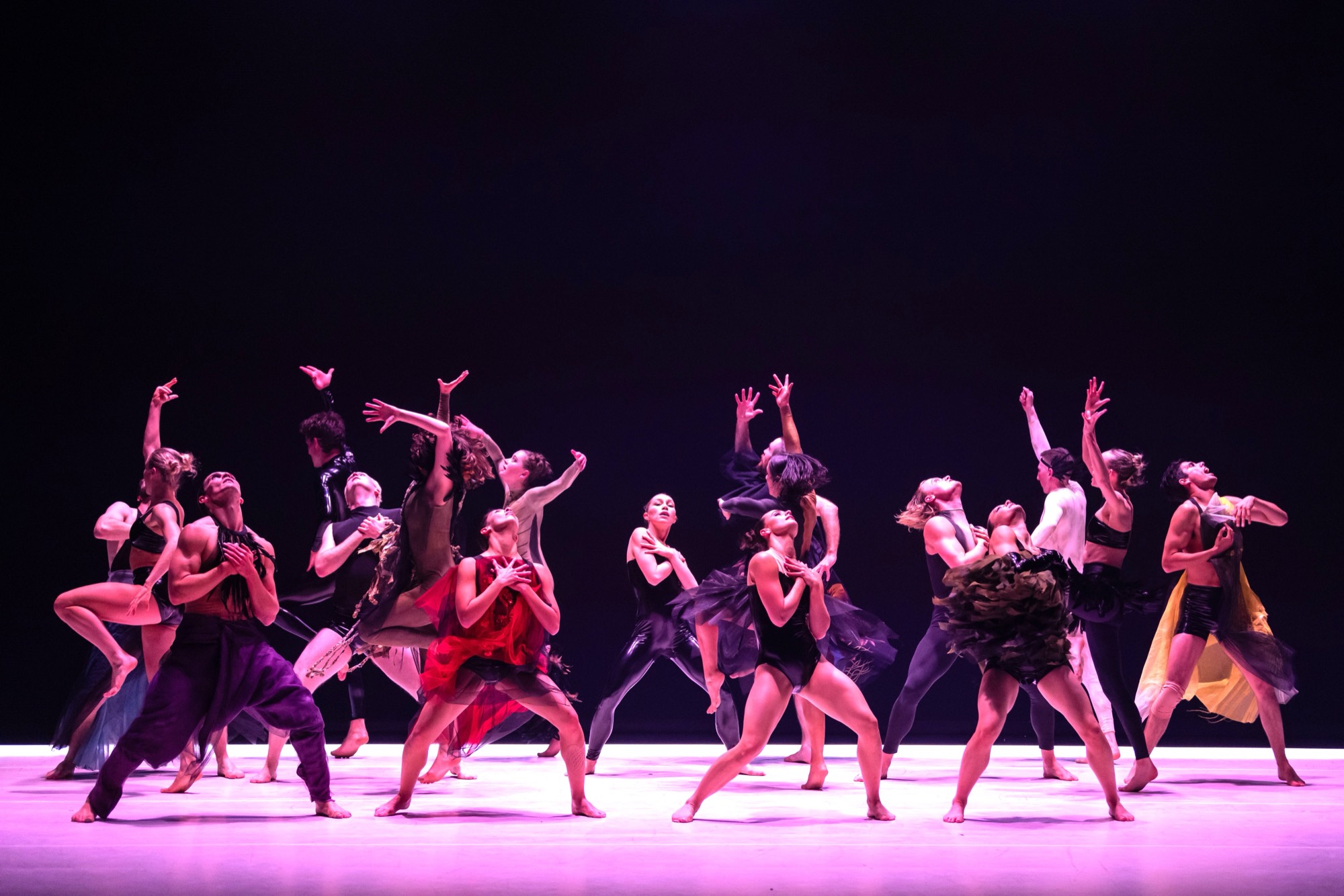 Sydney Dance Company in Melanie Lane's Love Lock: around fifteen dancers in mismatched costumes, arms raised, on a stage lit pink against a black backdrop.